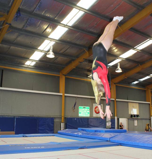 FLYING HIGH: Athletes will show their skills in disciplines including trampoline, aerobic, acrobatic and rhythmic gymnastics.