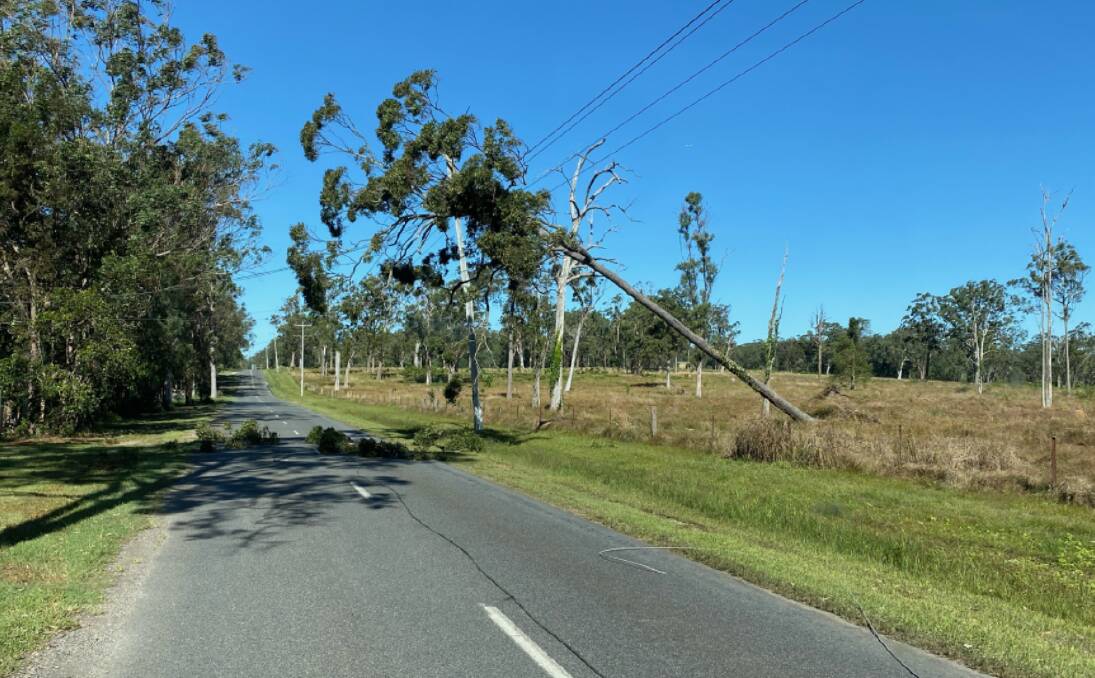 POWER OUTAGE: A tree has fallen onto power lines at Heinemann Road, Redland Bay. Photo: Energex