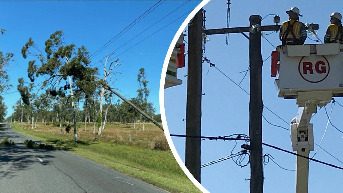 REPAIR: A tree falls on power lines at Redland Bay this morning and [inset] a file photo of Energex crews. Photos: Energex