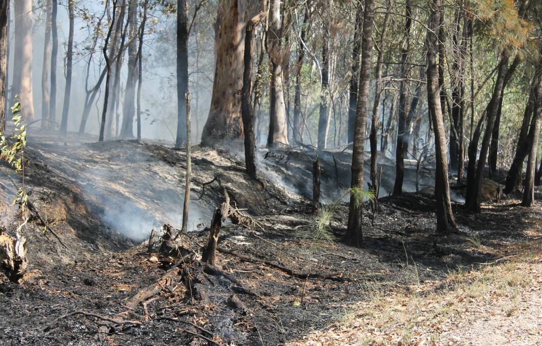 PLANNED BURNS: Smoke to be visible in Carbrook, North Stradbroke and surrounding areas on Tuesday. 
