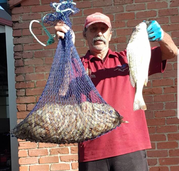 GREAT CATCHES: Stan Perovic with his bag limit of banana prawns and a grunter cast netter off Nudgee.