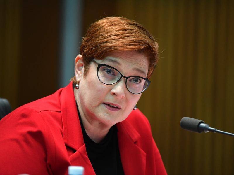 Marise Payne, One of Finest Foreign Ministers Speaks out in